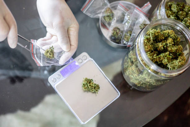 How to Skyrocket Your Dispensary's Sales with Targeted Local SEO Campaigns