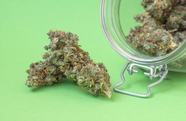 ../img/cannabislocalseo.jpg