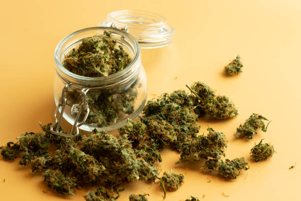 What is the importance of local SEO for dispensaries?