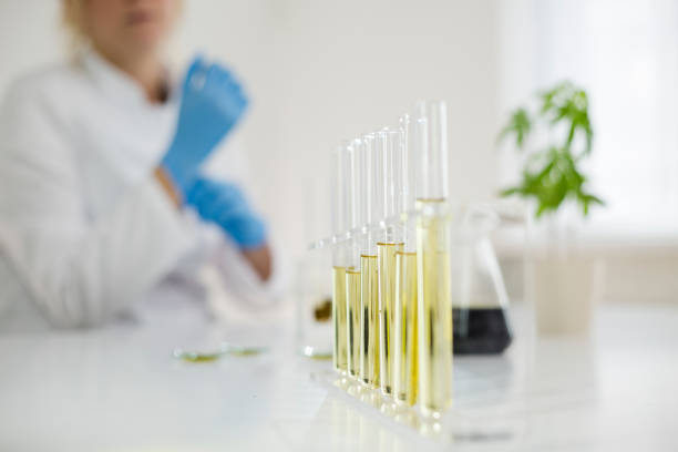Importance of local SEO for dispensaries